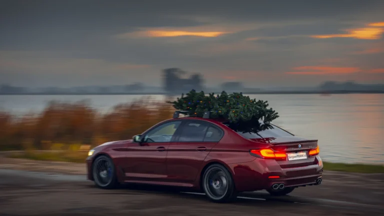 2021-11-0320Bergwerff20B5-8395.jpg-1