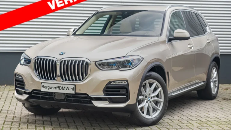 BMW20X520xDrive40i20High20Executive20Sunstone20Metallic20Leder20Vernasca20G0520Bergwerff201.jpg-1